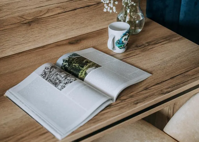 Goscinne U Moniki 3*